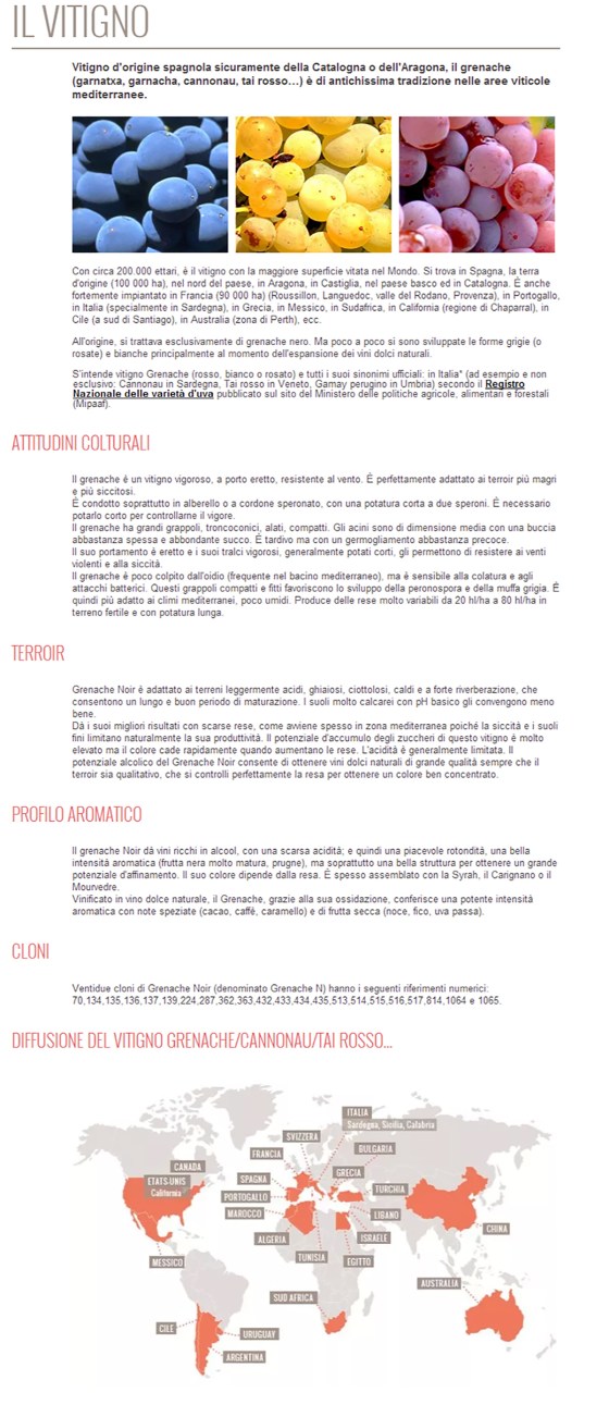 VITIGNO-GRENACHE-IT 1200